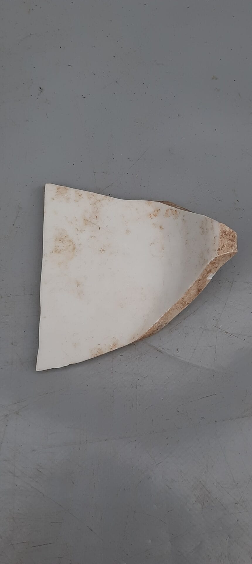 ww2 German porcelain ss reich - Image 3